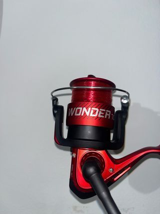 Caña de surfcasting INISSIA SW 420 más carrete