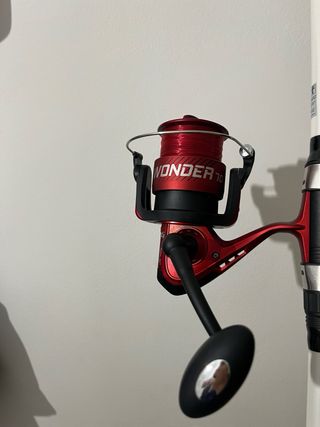 Caña de surfcasting INISSIA SW 420 más carrete