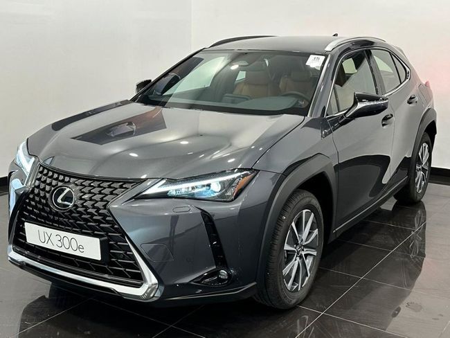 Lexus UX 300E  + - foto 1