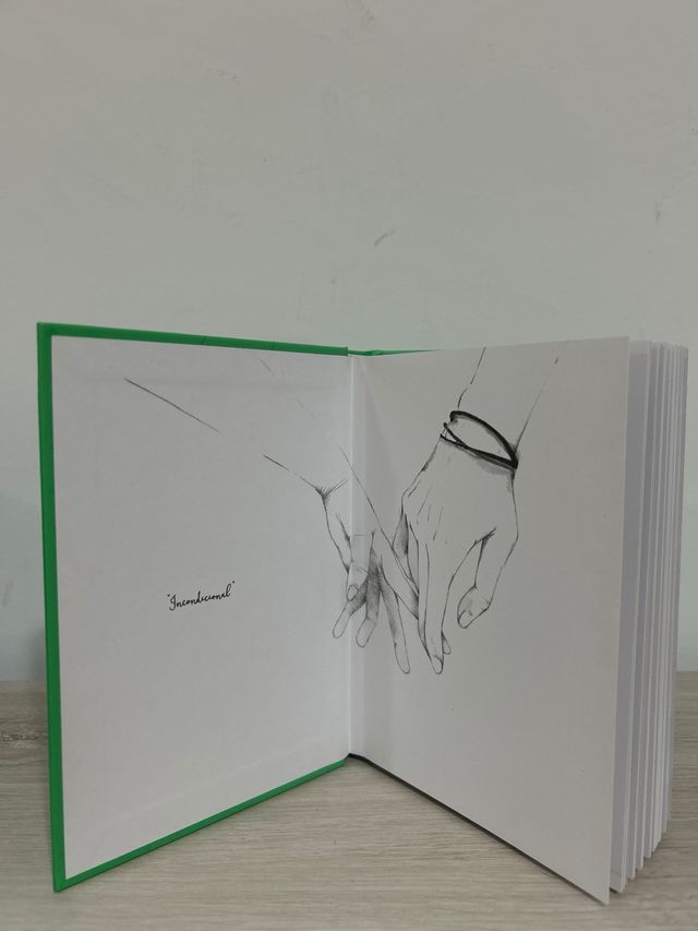 Casi sin querer: Edición Especial Limitada