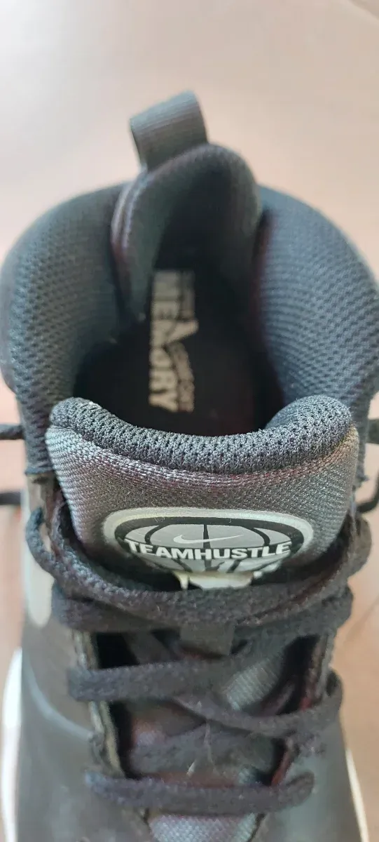 Zapatillas Baloncesto Nike Team Hustle