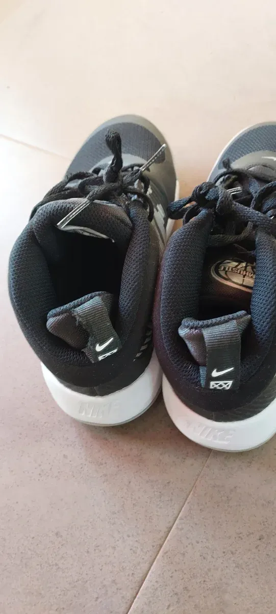 Zapatillas Baloncesto Nike Team Hustle