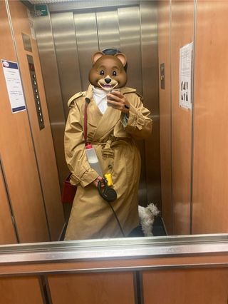 Gabardina NEXT Rainwater Collection Beige