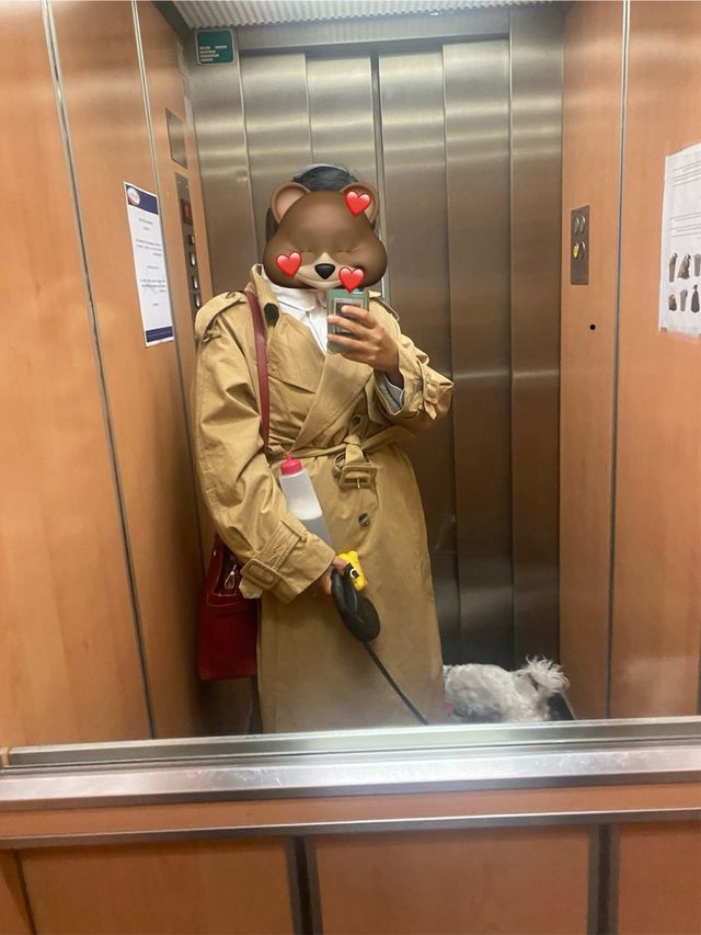 Gabardina NEXT Rainwater Collection Beige