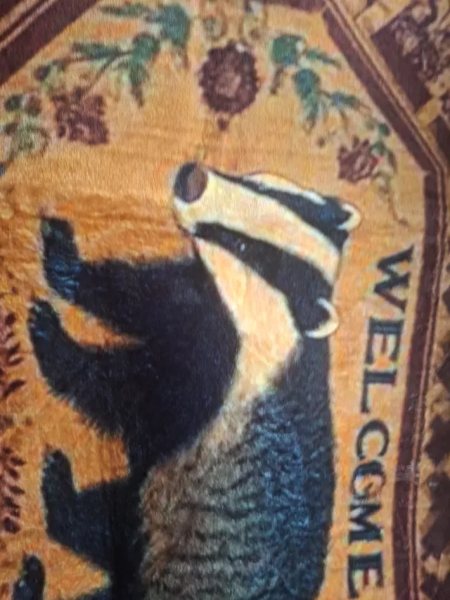 Alfombra tejón Welcome sin estrenar