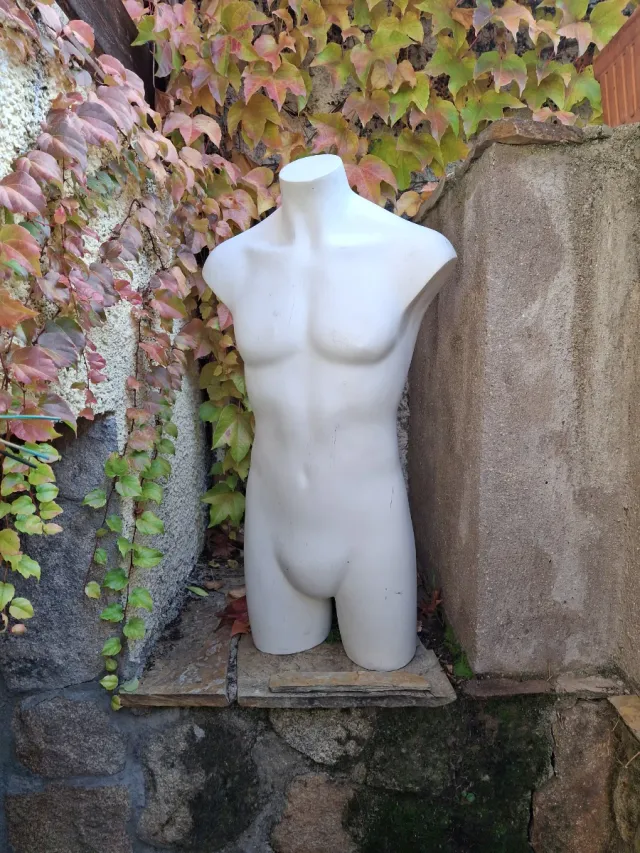 Maniquí Torso masculino