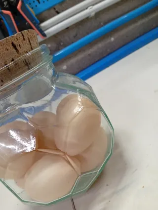 Contenitore con uova finte