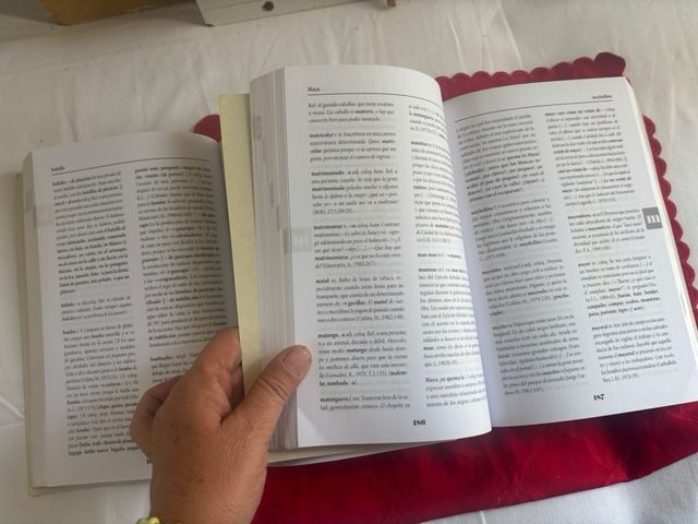 dizionario semplificato dello spagnolo di Cuba