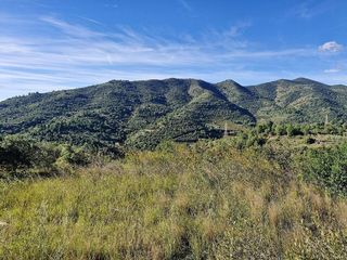 Terreno en venta en Selva del Camp, La