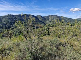 Terreno en venta en Selva del Camp, La