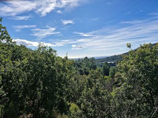 Terreno en venta en Selva del Camp, La