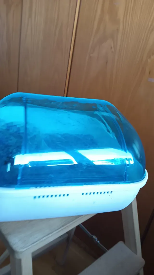 Orbeez Spa Relajante Pies