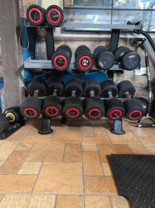 Mancuernas de 14, 22,24,26,28 y 30 y mancuernero