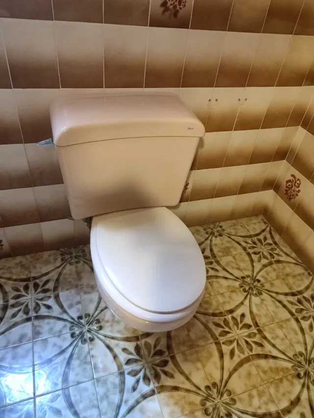 Conjunto sanitario Roca rosa vintage