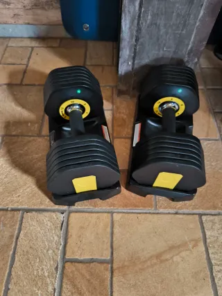 Mancuernas Ajustables pareja