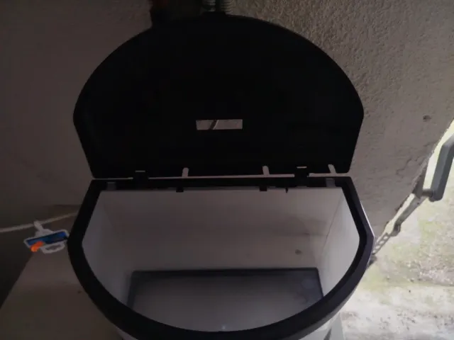 Acuario y accesorios