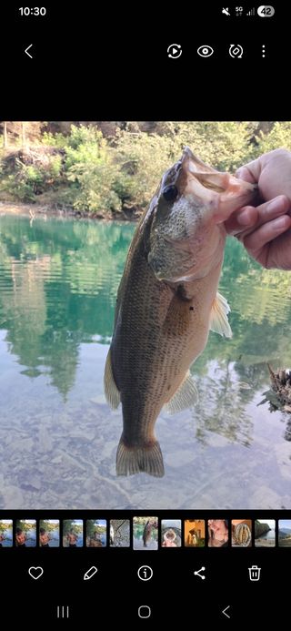 GUÍA DE PESCA EUSKADI