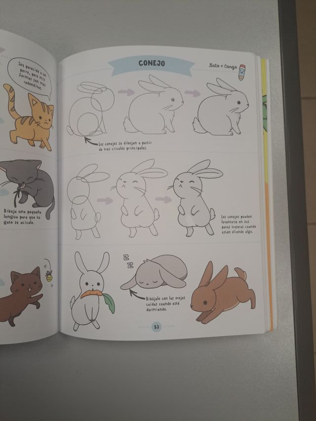 Kawaii. El arte japonés de para dibujar cosas m...