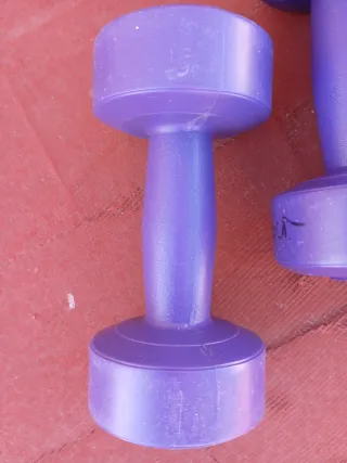 Mancuernas Tentable Home Fitness 2x1kg