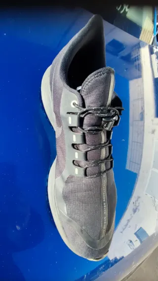 Zapatilla Nike Pegasus Shield Negra