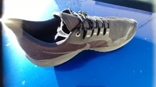 Zapatilla Nike Pegasus Shield Negra