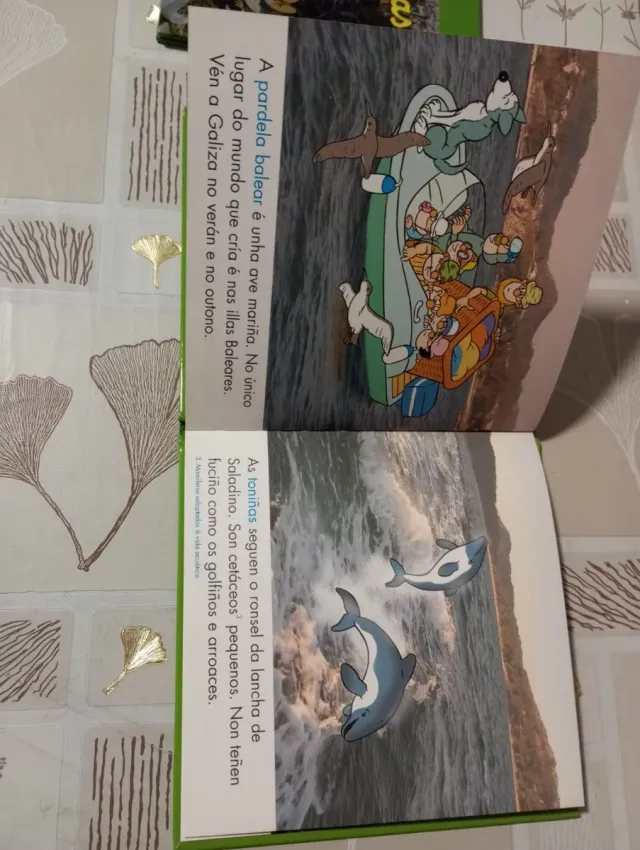 - A carballeira  - A ría