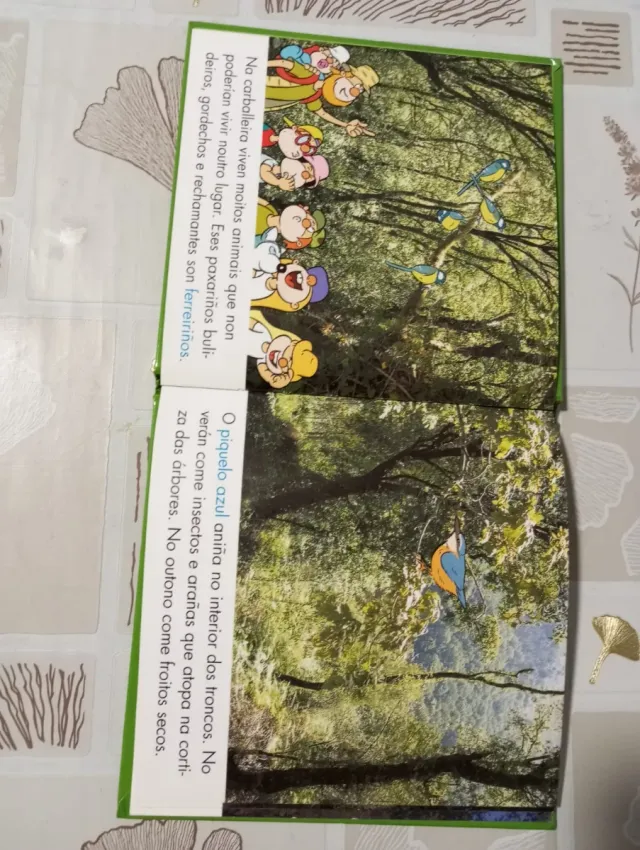 - A carballeira  - A ría