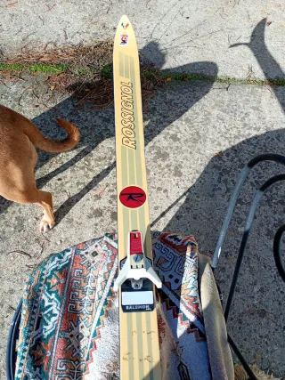 Esquís Rossignol Starway