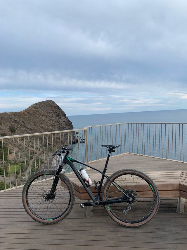 Bicicleta Orbea Alma