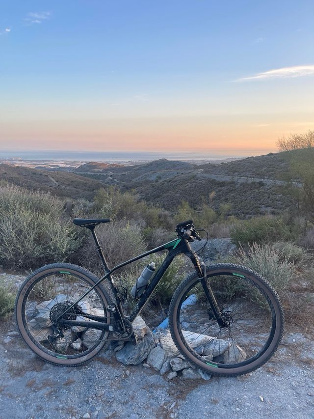 Bicicleta Orbea Alma