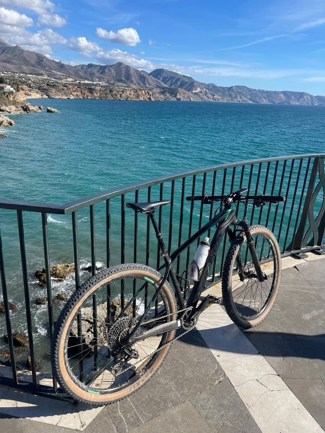 Bicicleta Orbea Alma