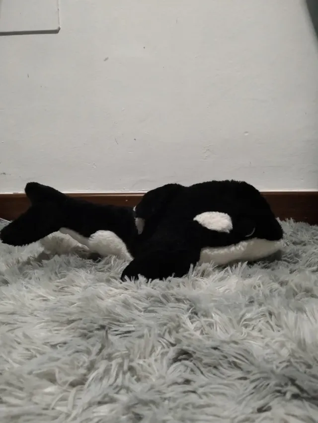 Peluche Orca Negro y Blanco