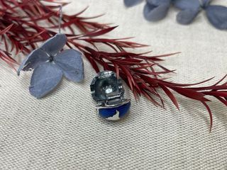 ✨Charm clip Planeta Tierra