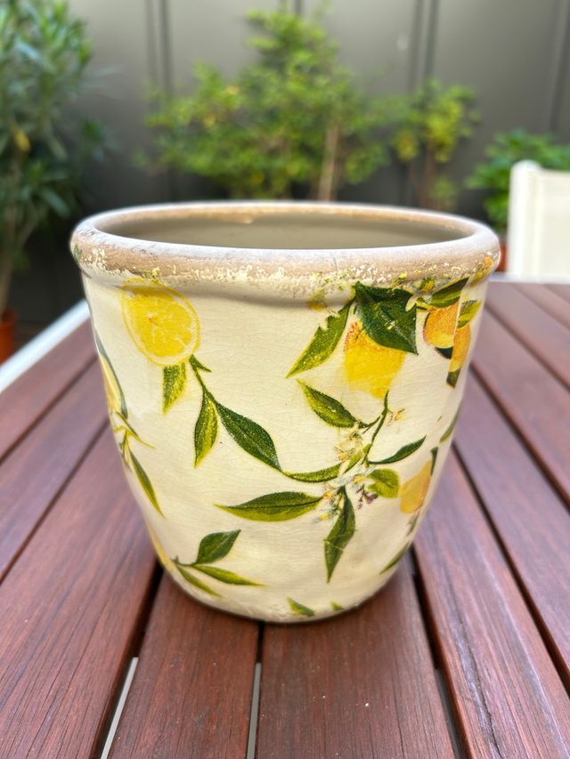 Maceta cerámica con limones