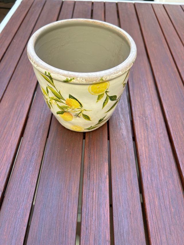 Maceta cerámica con limones