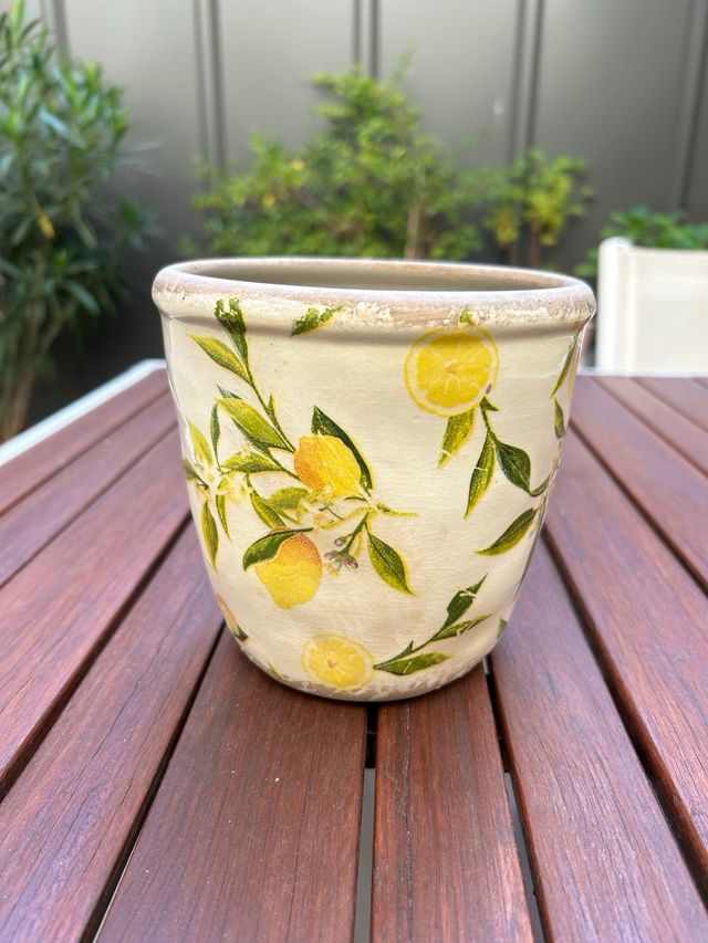 Maceta cerámica con limones