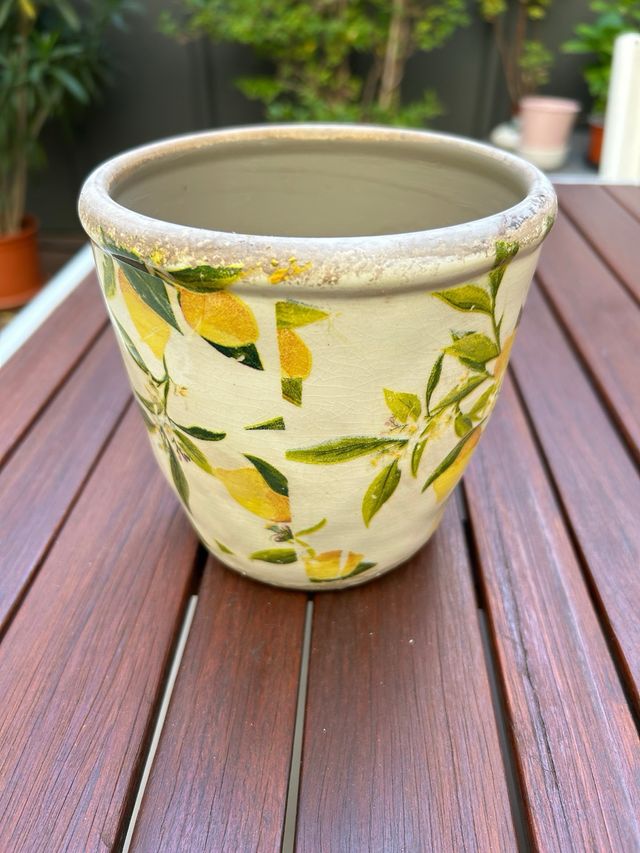 Maceta cerámica con limones