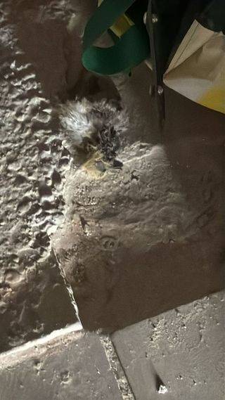 Hotel en venta en Jijona/Xixona