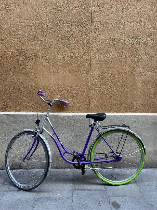 Bicicleta Urbana Morada y Verde