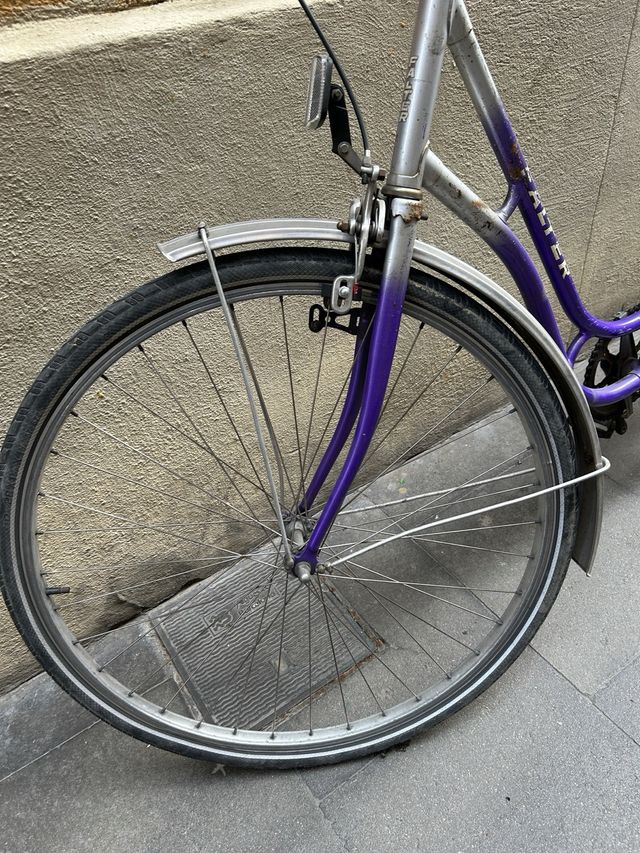 Bicicleta Urbana Morada y Verde