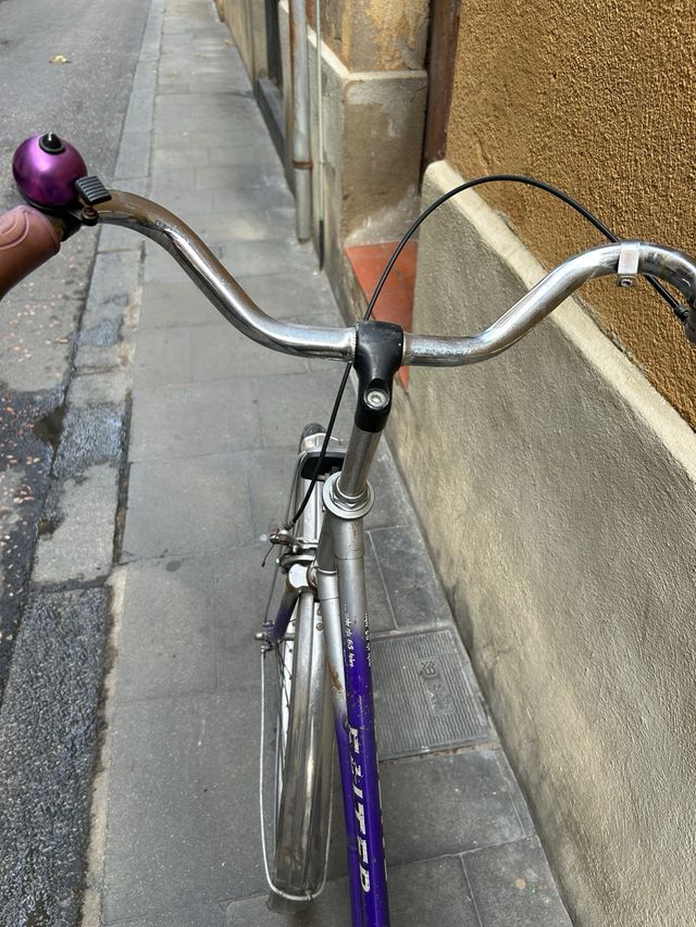 Bicicleta Urbana Morada y Verde