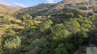 Casa rural en venta en Canillas de Aceituno