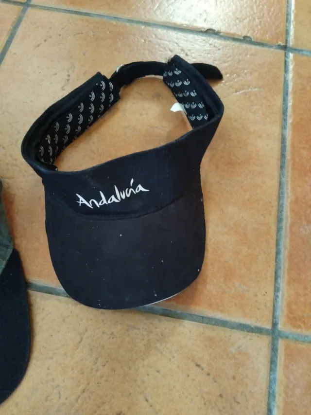 Lote de gorras variadas