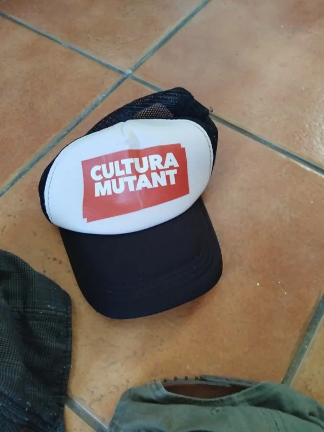 Lote de gorras variadas