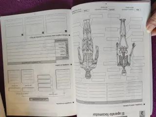 Conocimiento del medio