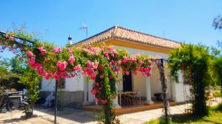 Parcela rústica con Chalet y apartamento