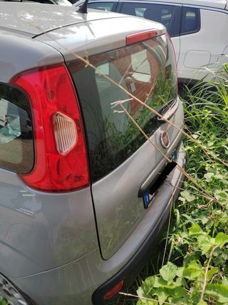 Fiat Panda 1.2 Pop Benzina/GPL 2020 – Alluvionata