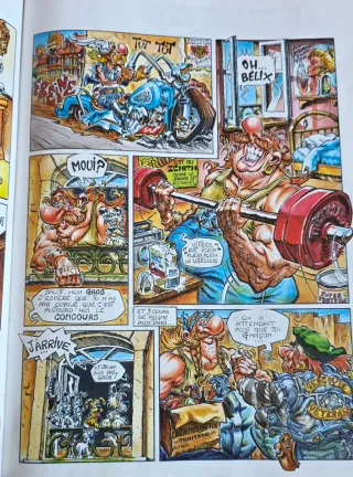 Les invraisemblables aventures d'Istérix