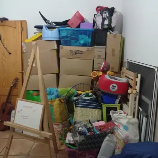 Lote de artículos de garaje