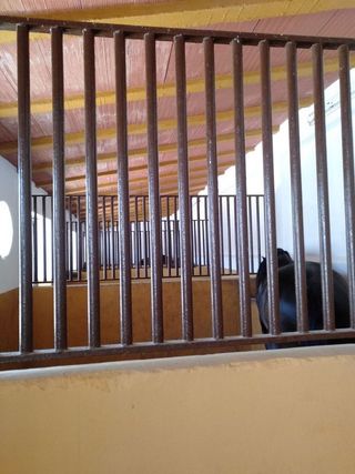 Casa rural en venta en Morón de la Frontera